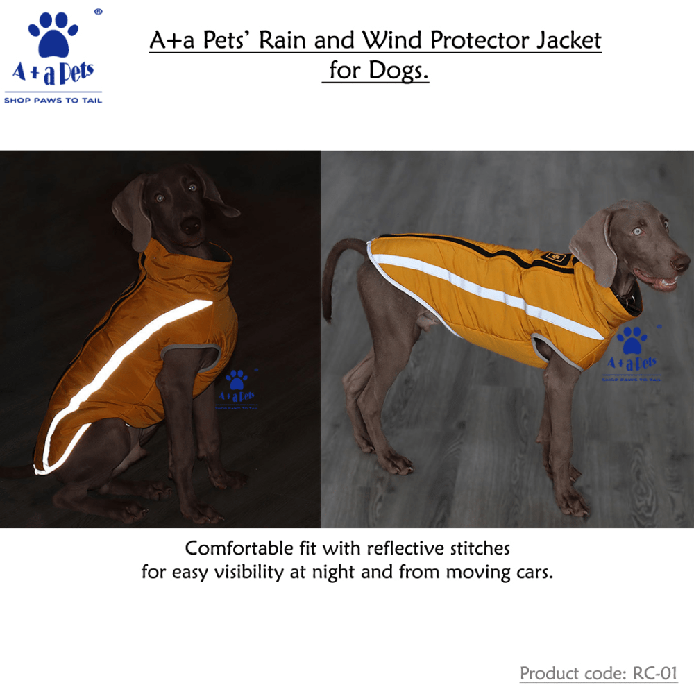 A Plus A Pets Luxurious Rain & Wind Protector Jacket for Dogs (Blue)