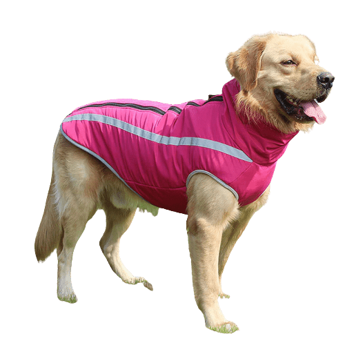A Plus A Pets Luxurious Rain & Wind Protector Jacket for Dogs (Pink)