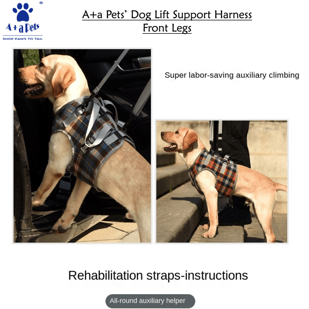 A Plus A Pets Multi Function Vest Style Harness for Dogs