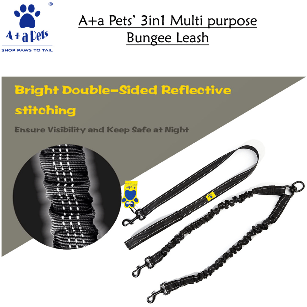 A Plus A Pets 3in1 Multi Purpose Bungee Leash for 2 Dogs (Blue)