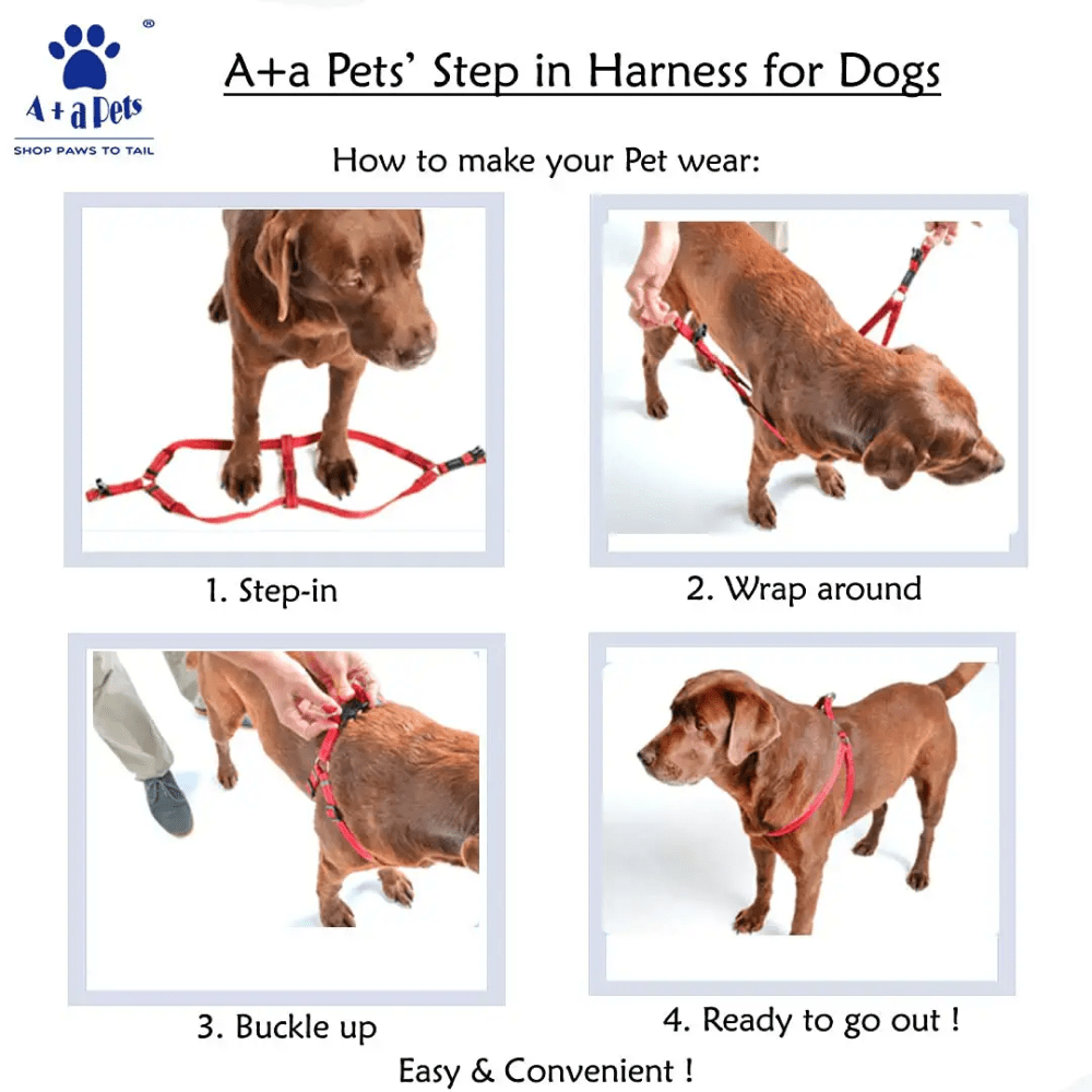 A Plus A Step in Tetris Design Harness for Dogs