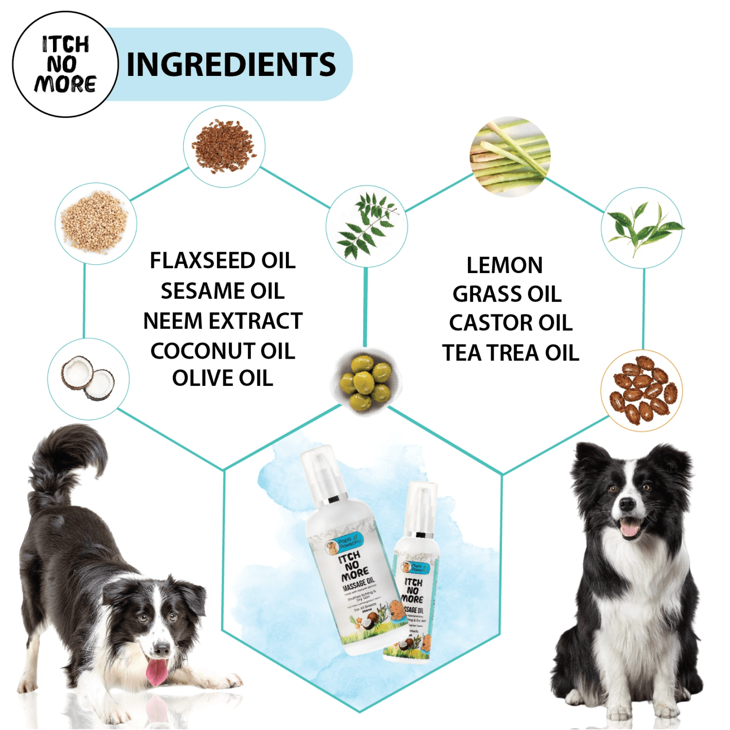 Papa Pawsome Itch No More Massage Oil for Dogs Dogs-Grooming Supplies Papa Pawsome