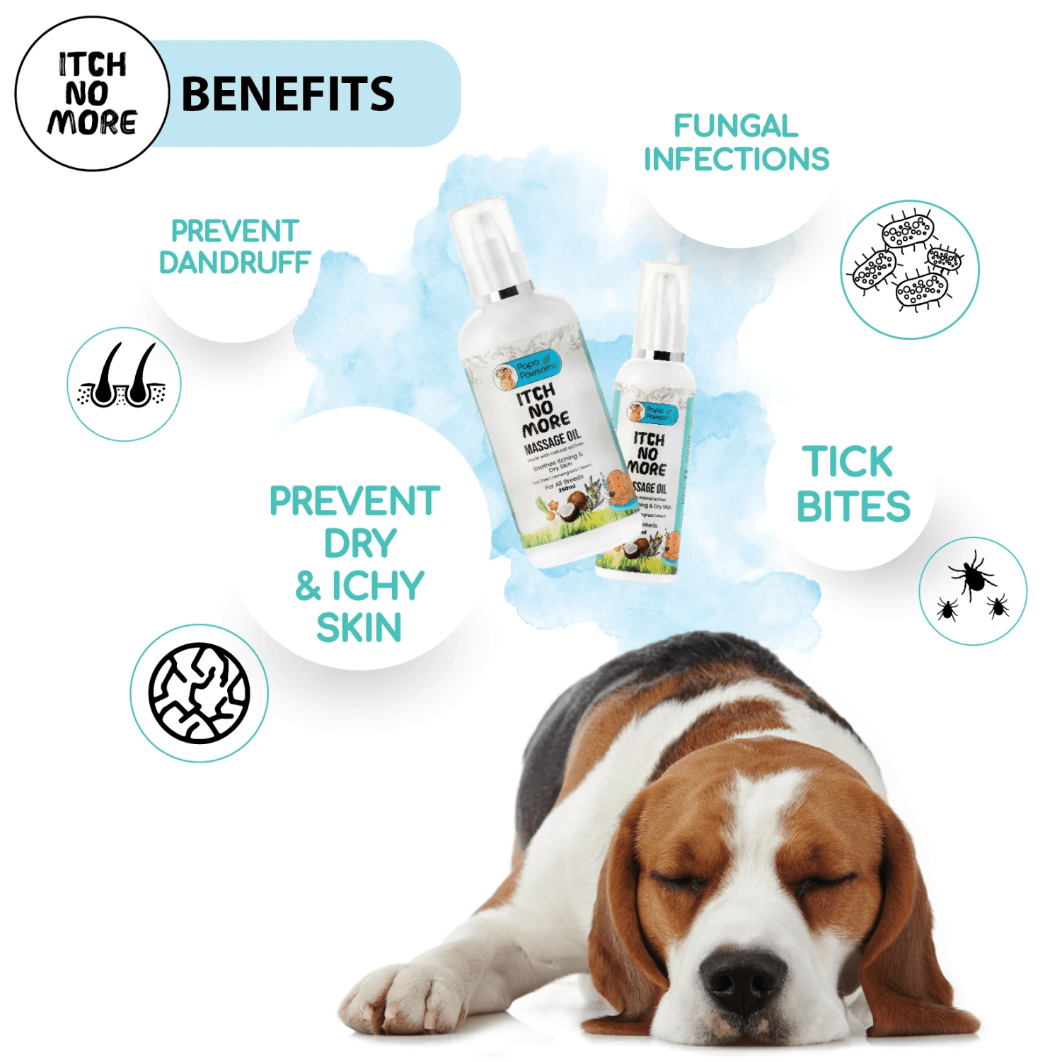 Papa Pawsome Itch No More Massage Oil for Dogs Dogs-Grooming Supplies Papa Pawsome