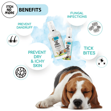 Papa Pawsome Itch No More Massage Oil for Dogs