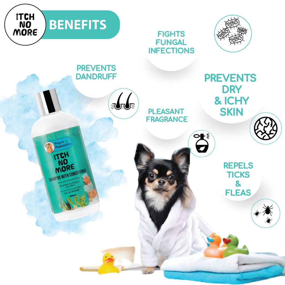 Papa Pawsome Itch No More Shampoo with Conditioner for Dogs