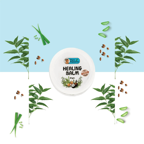 Papa Pawsome 100% Natural Healing Balm for Dog
