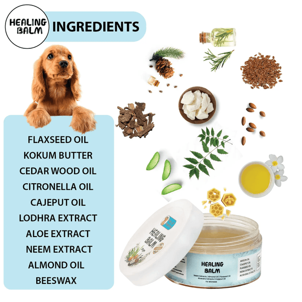 Papa Pawsome 100% Natural Healing Balm for Dog