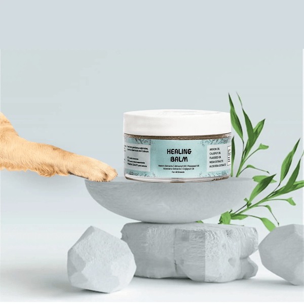 Papa Pawsome 100% Natural Healing Balm for Dog