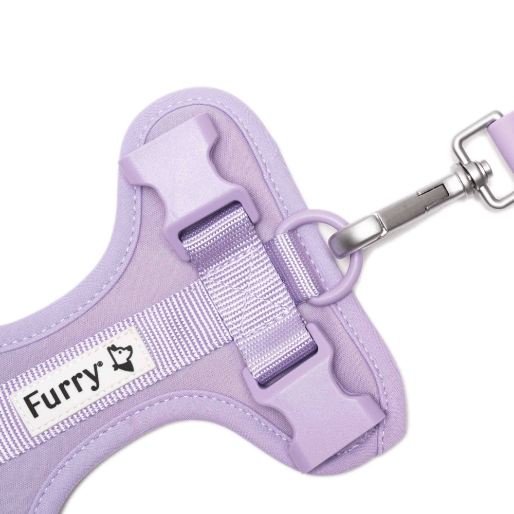 Furry & Co Bold Harness for Dogs (Lilac)