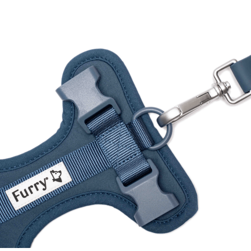 Furry & Co Bold Harness for Dogs (Indigo Blue)