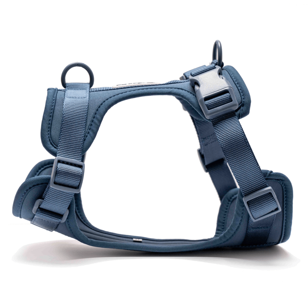Furry & Co Bold Harness for Dogs (Indigo Blue) Dogs-Collar, Leashes, harnesses Furry & Co