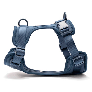 Furry & Co Bold Harness for Dogs (Indigo Blue)