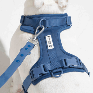 Furry & Co Bold Harness for Dogs (Indigo Blue)