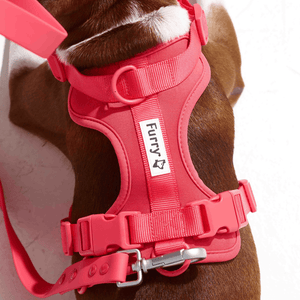 Furry & Co Bold Harness for Dogs (Coral Red)