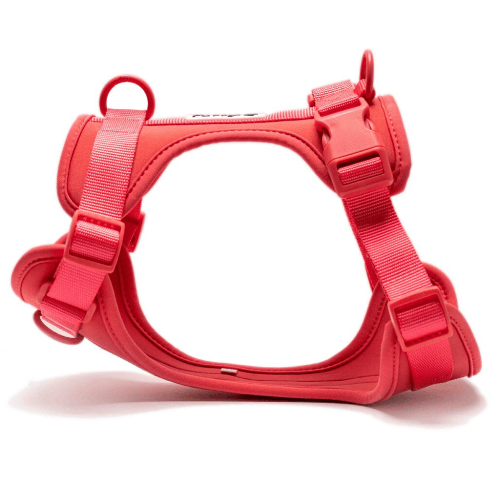 Furry & Co Bold Harness for Dogs (Coral Red) Dogs-Collar, Leashes, harnesses Furry & Co