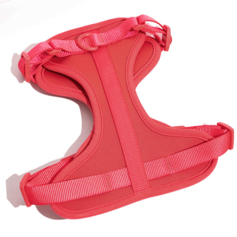 Furry & Co Bold Harness for Dogs (Coral Red)