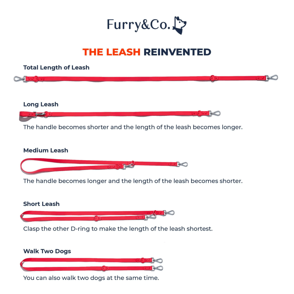 Furry & Co Weatherproof Leash for Dogs (Coral Red) Dogs-Collar, Leashes, harnesses Furry & Co