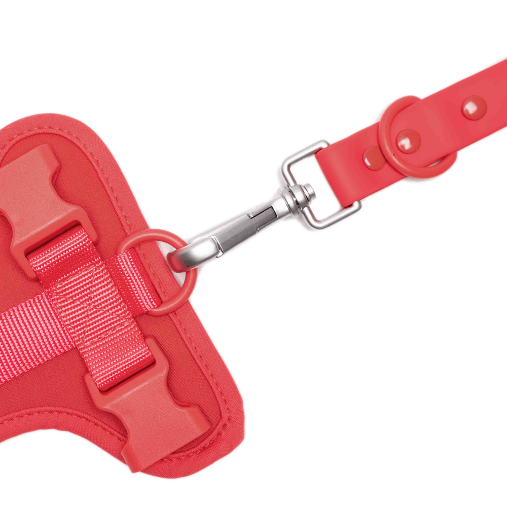 Furry & Co Weatherproof Leash for Dogs (Coral Red)