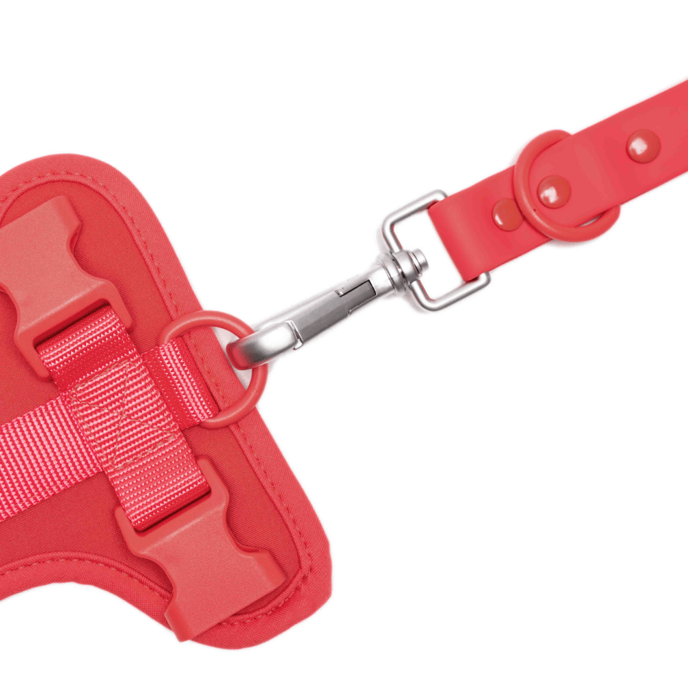 Furry & Co Weatherproof Leash for Dogs (Coral Red) Dogs-Collar, Leashes, harnesses Furry & Co