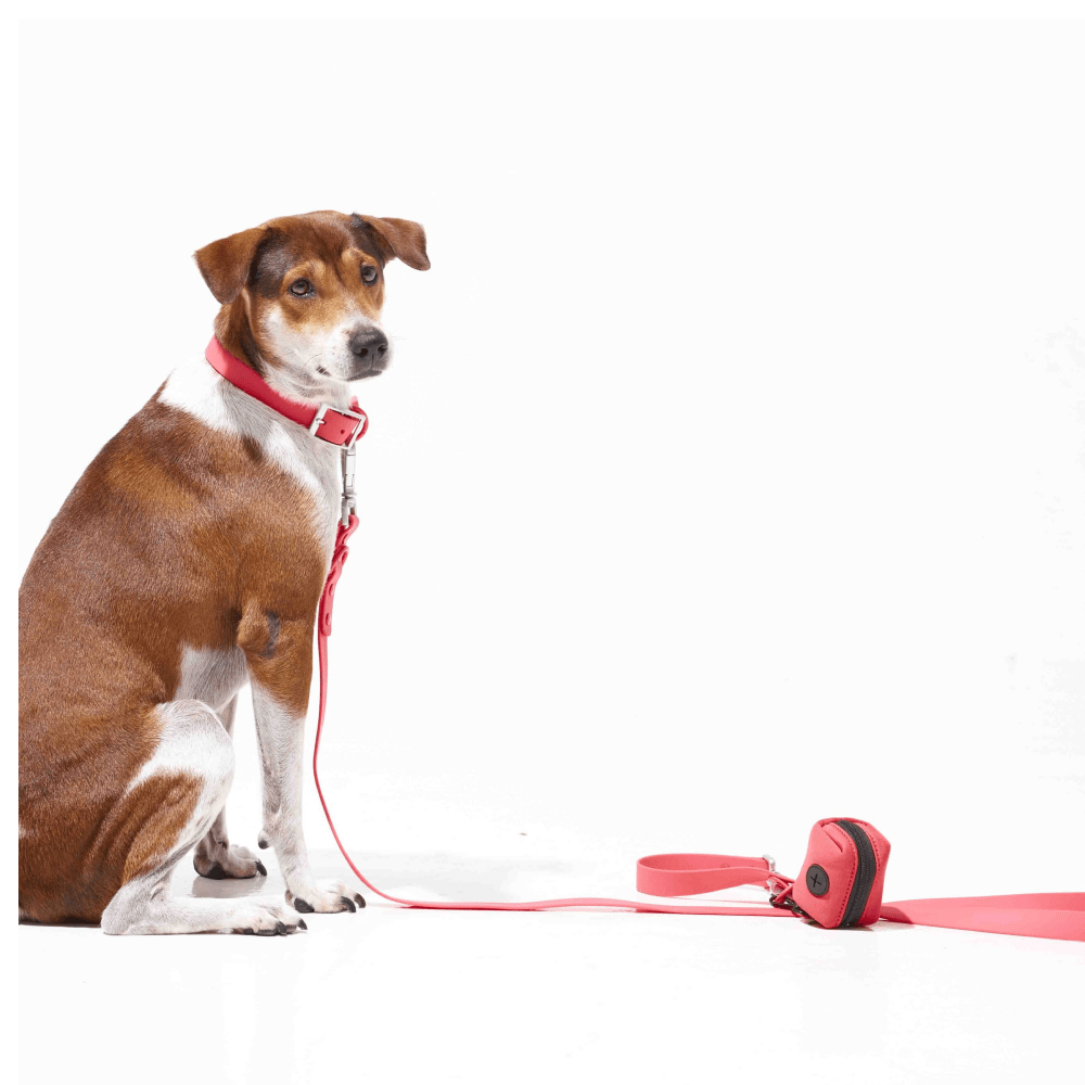 Furry & Co Weatherproof Leash for Dogs (Coral Red) Dogs-Collar, Leashes, harnesses Furry & Co