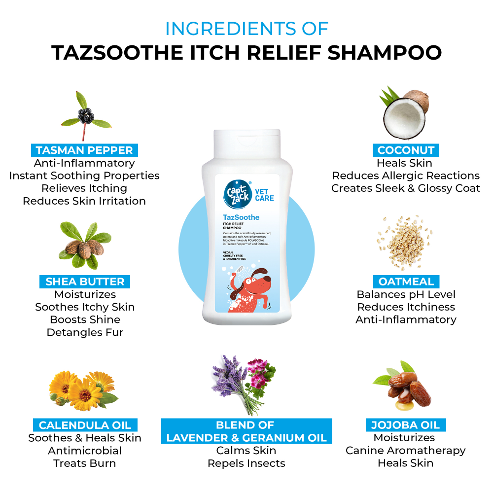 Captain Zack TazSoothe Itch Relief Shampoo for Dogs