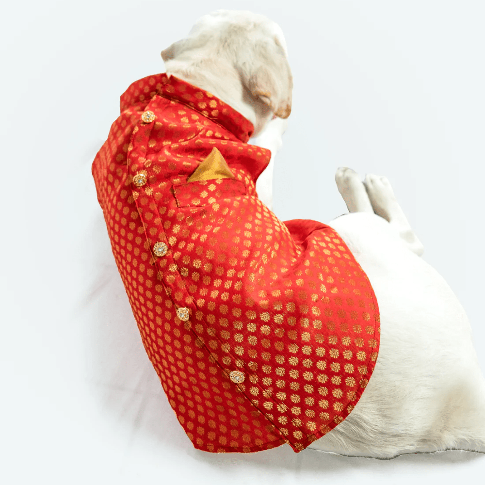 Pawgypets Sherwani for Dogs and Cats (Red) Both-Clothing & Accessories Pawgypets Dropship