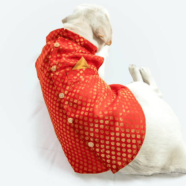 Pawgypets Sherwani for Dogs and Cats (Red)