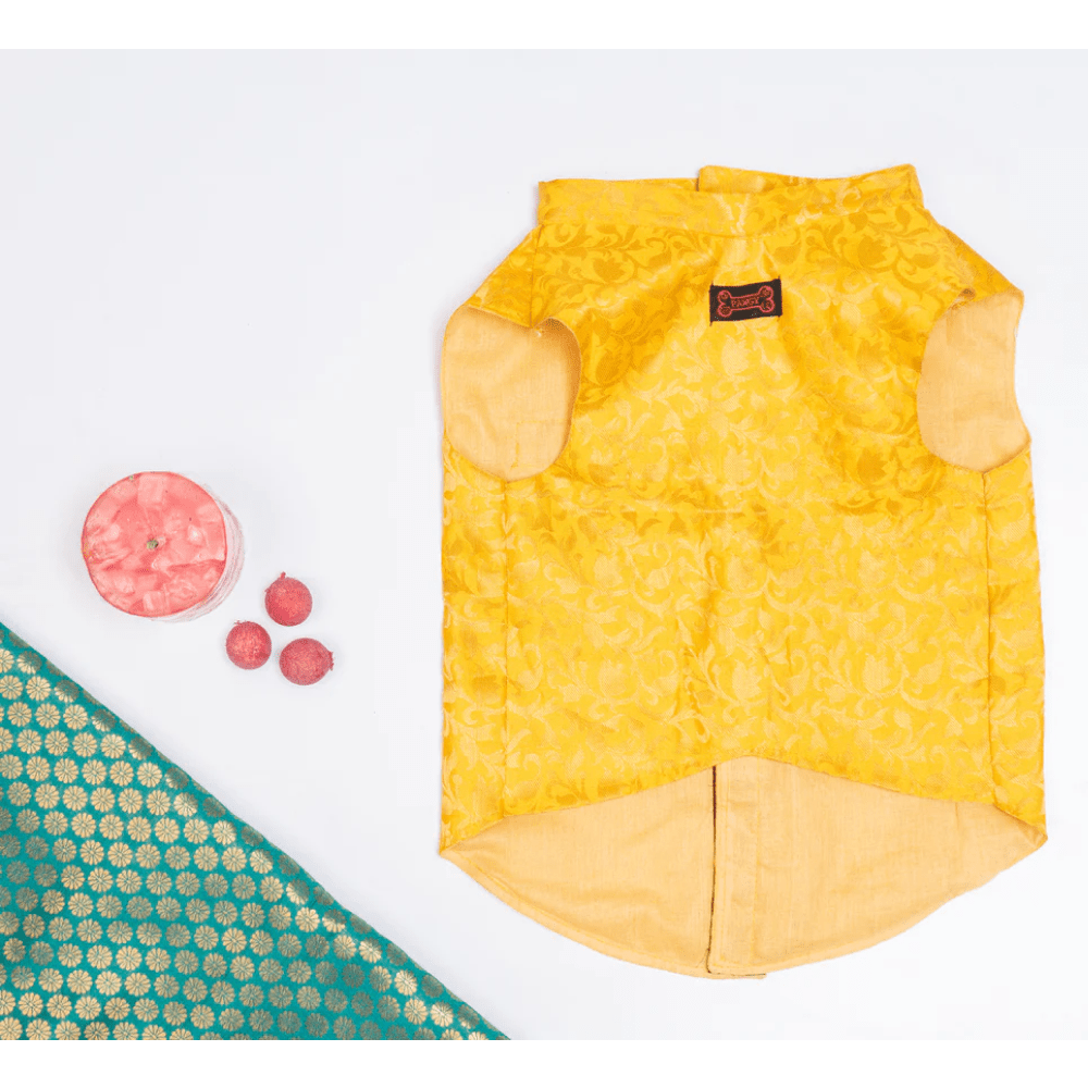 Pawgypets Sherwani for Dogs and Cats (Yellow) Both-Clothing & Accessories Pawgypets Dropship