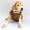Pawgypets Sherwani for Dogs and Cats (Black) Both-Clothing & Accessories Pawgypets Dropship S
