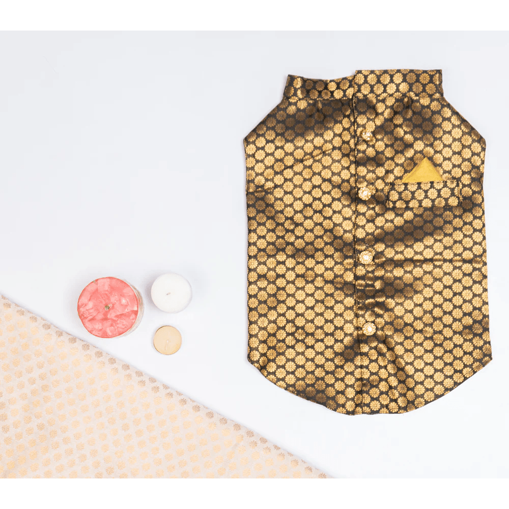 Pawgypets Sherwani for Dogs and Cats (Black) Both-Clothing & Accessories Pawgypets Dropship