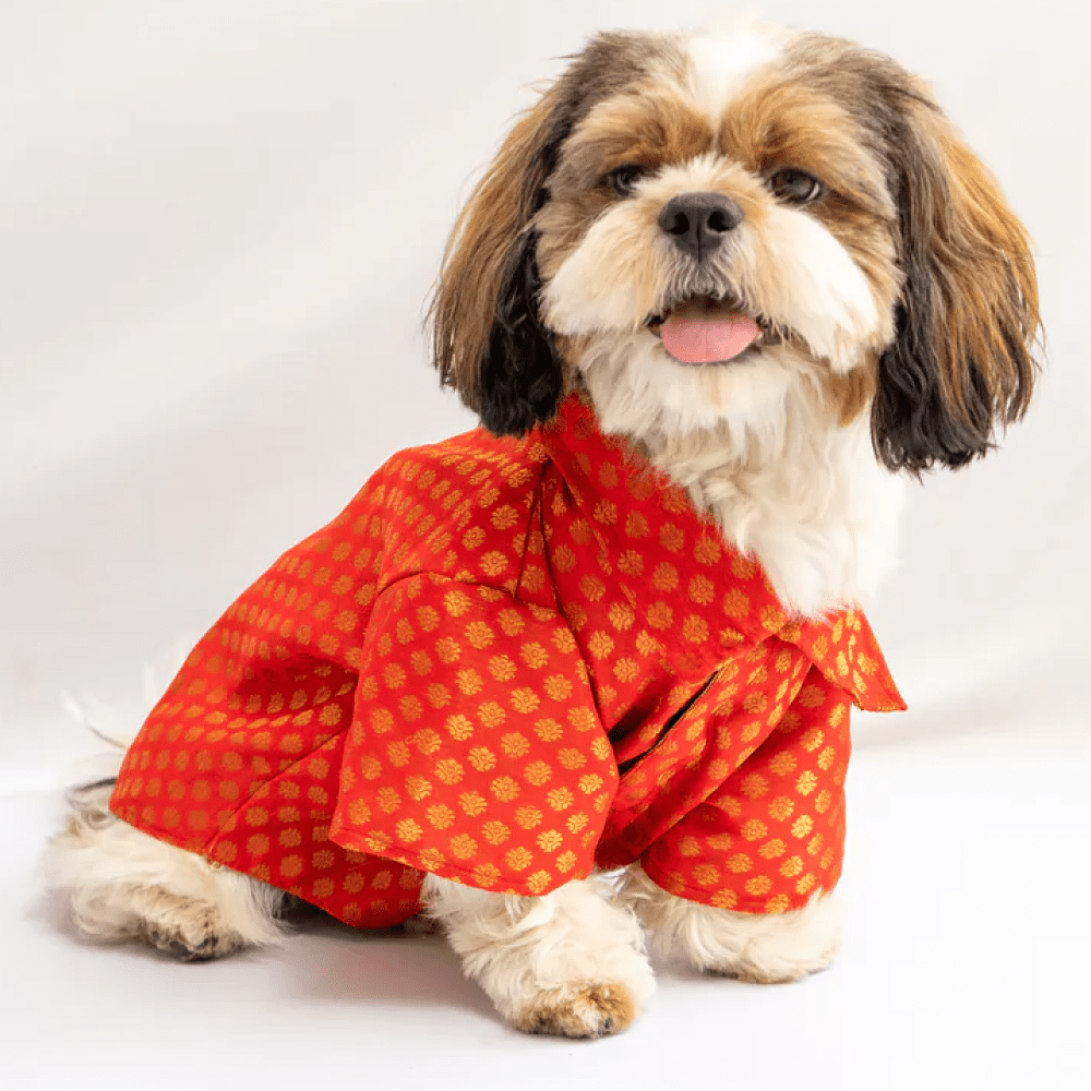 Pawgypets Occasion Wear Shirt for Dogs and Cats (Red)