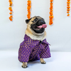Pawgypets Occasion Wear Shirt for Dogs and Cats (Purple)