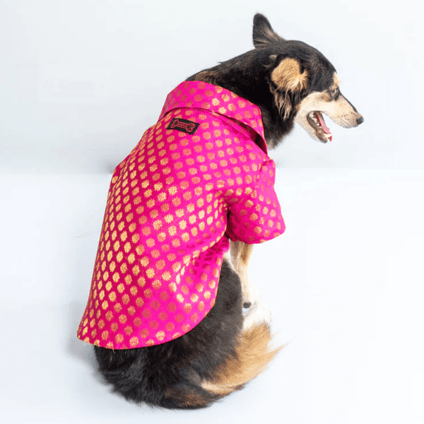 Pawgypets Occasion Wear Shirt for Dogs and Cats (Pink)
