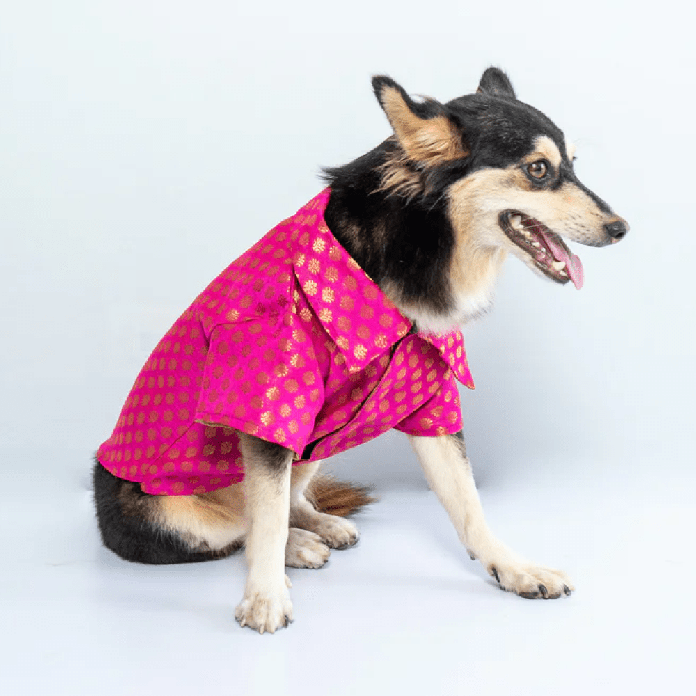 Pawgypets Occasion Wear Shirt for Dogs and Cats (Pink) Both-Clothing & Accessories Pawgypets Dropship 2XL