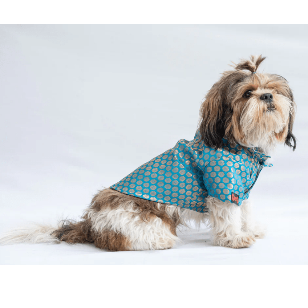 Pawgypets Occasion Wear Shirt for Dogs and Cats (Blue)