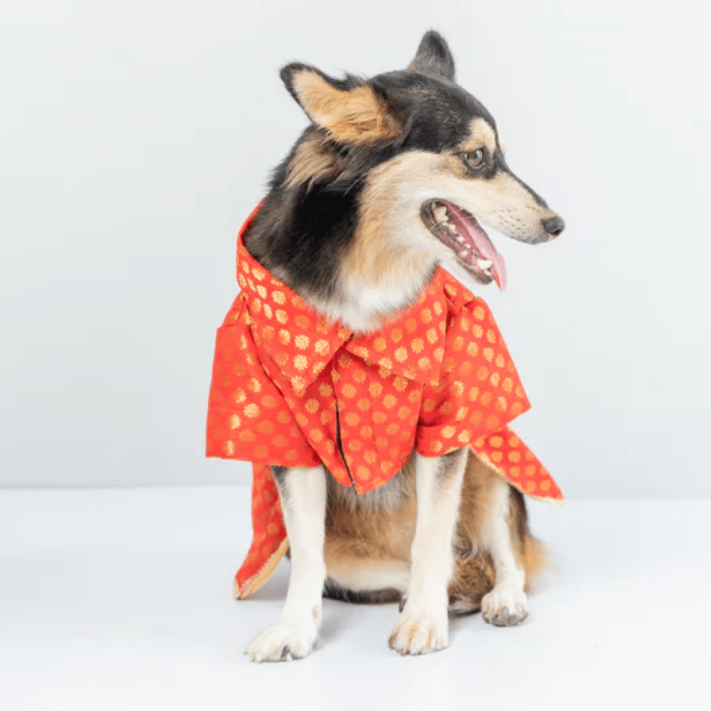 Pawgypets Occasion Wear Dress for Dogs and Cats (Red) Both-Clothing & Accessories Pawgypets Dropship