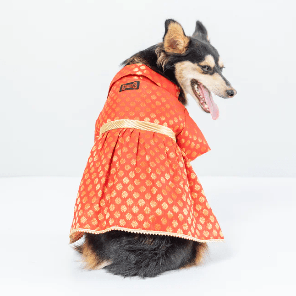 Pawgypets Occasion Wear Dress for Dogs and Cats (Red)