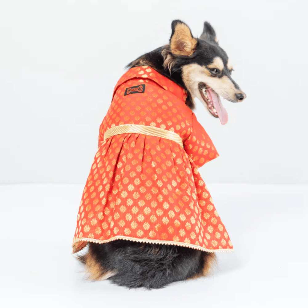 Pawgypets Occasion Wear Dress for Dogs and Cats (Red) Both-Clothing & Accessories Pawgypets Dropship