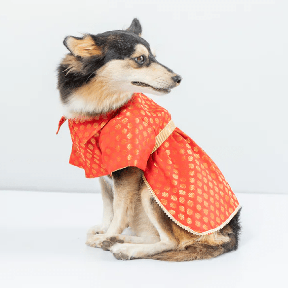 Pawgypets Occasion Wear Dress for Dogs and Cats (Red)