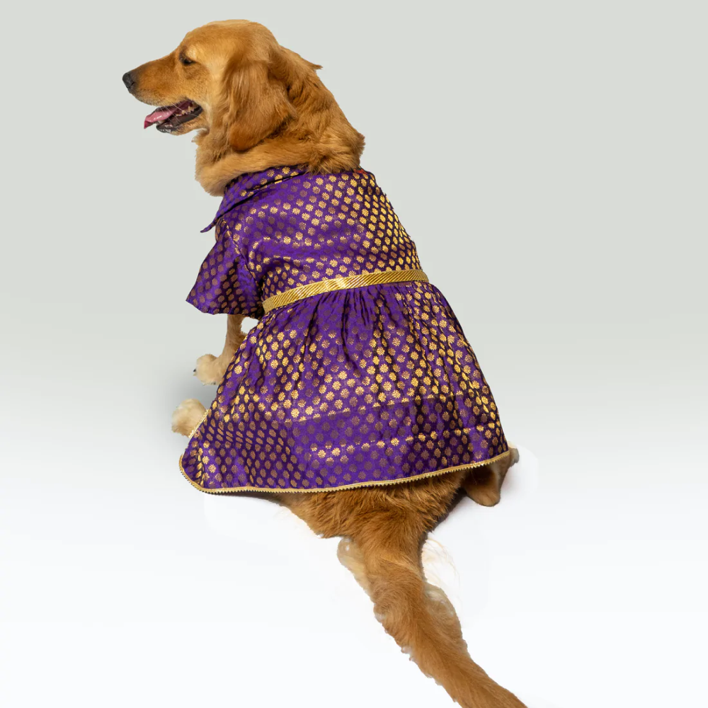 Pawgypets Occasion Wear Dress for Dogs and Cats (Purple)