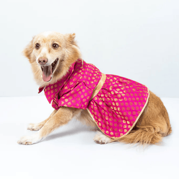 Pawgypets Occasion Wear Dress for Dogs and Cats (Pink)