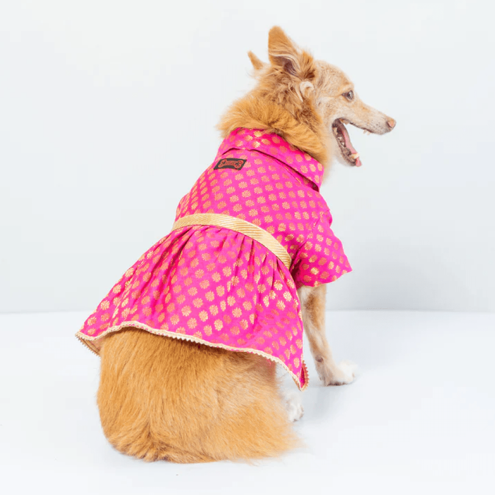 Pawgypets Occasion Wear Dress for Dogs and Cats (Pink)