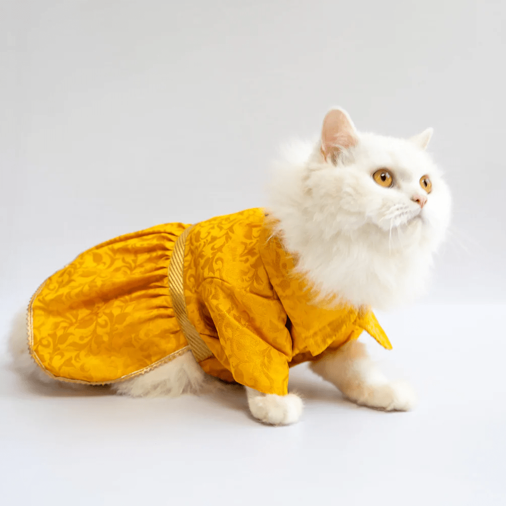 Pawgypets Occasion Wear Dress for Dogs and Cats (Yellow) Both-Clothing & Accessories Pawgypets Dropship