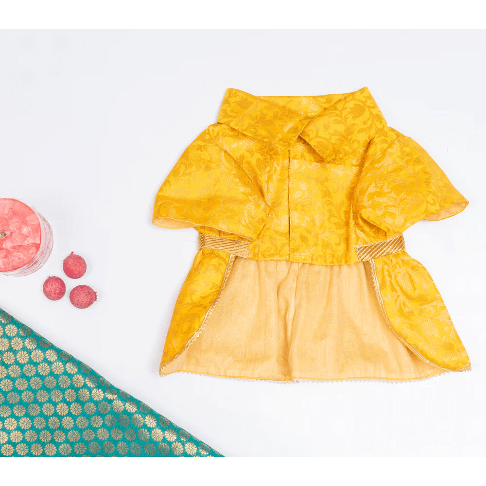 Pawgypets Occasion Wear Dress for Dogs and Cats (Yellow) Both-Clothing & Accessories Pawgypets Dropship