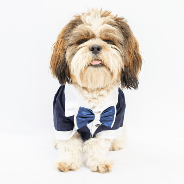 Pawgypets Tuxedo for Dogs and Cats (Blue)
