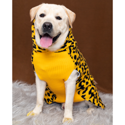 Petsnugs Leopard Knit Sweater for Dogs and Cats (Yellow & Black)