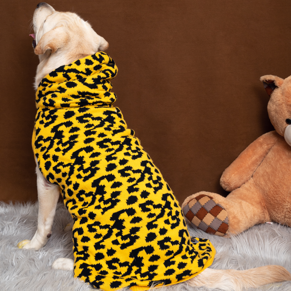 Petsnugs Leopard Knit Sweater for Dogs and Cats (Yellow & Black)