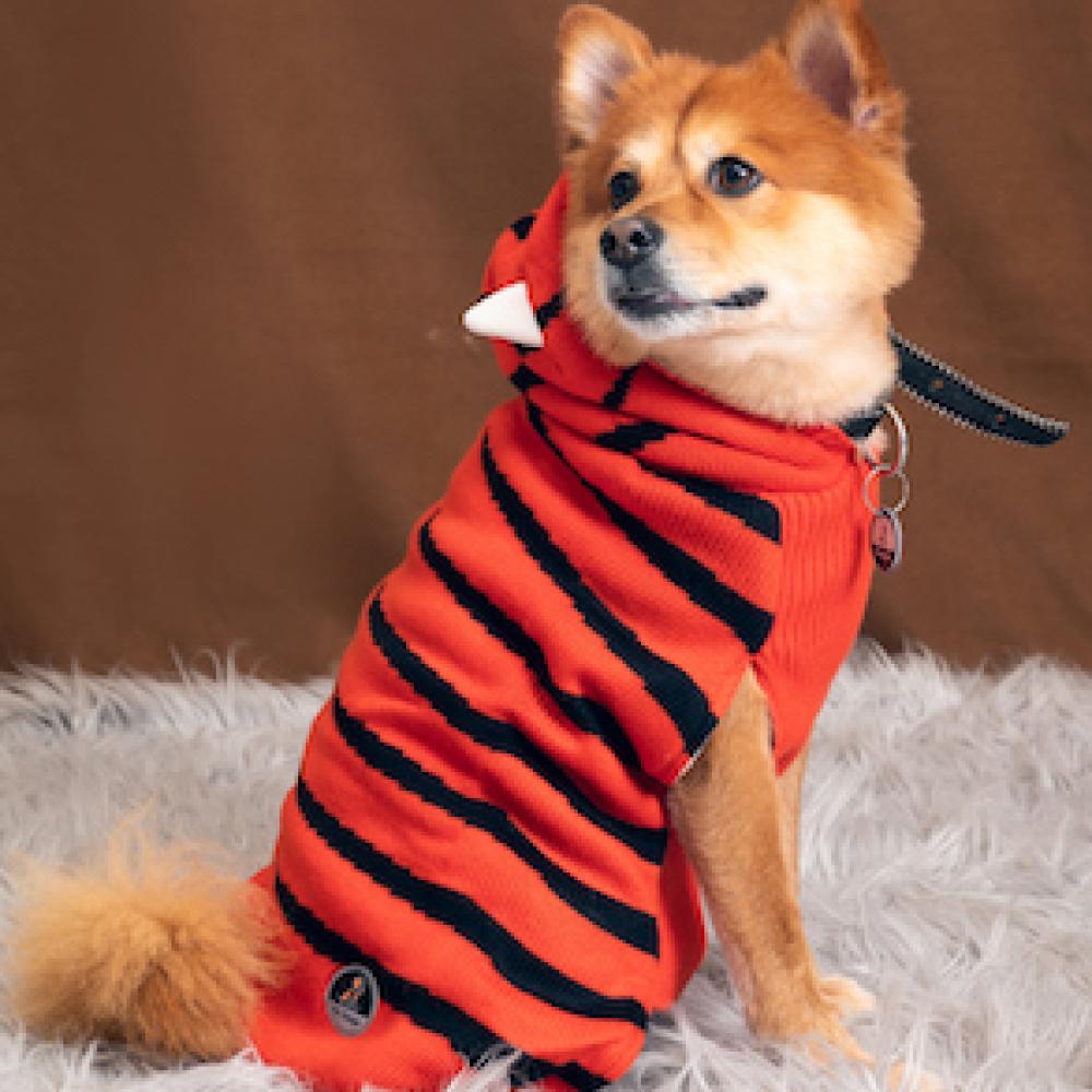 Petsnugs Tiger Knit Sweater for Dogs and Cats (Black & Orange)