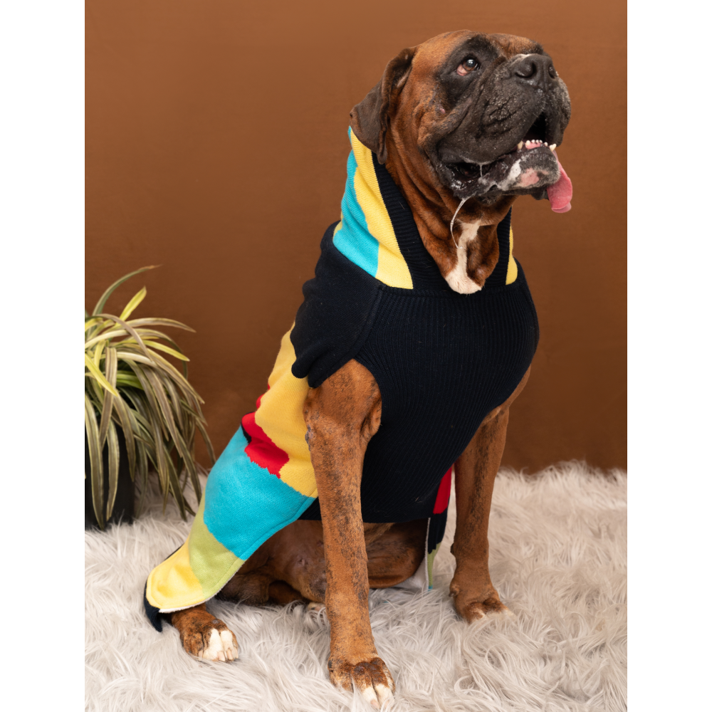 Petsnugs Color blocked Knit Sweater for Dogs and Cats