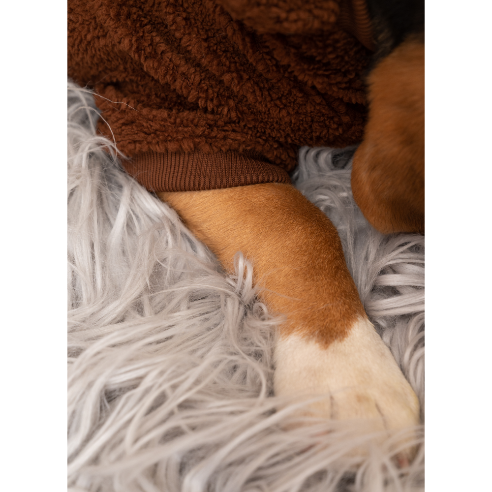 Petsnugs Woof Woof Sweatshirt for Dogs and Cats (Dark Brown)